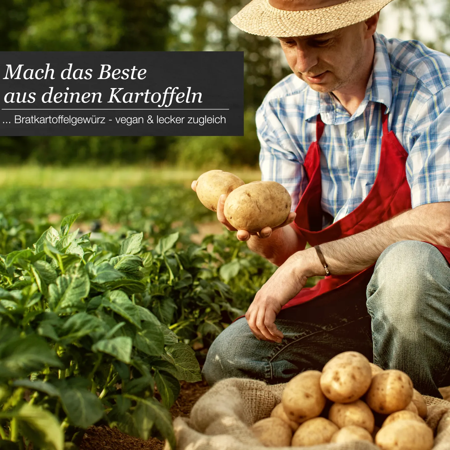 Bratkartoffelgewürz Gewürzzubereitung