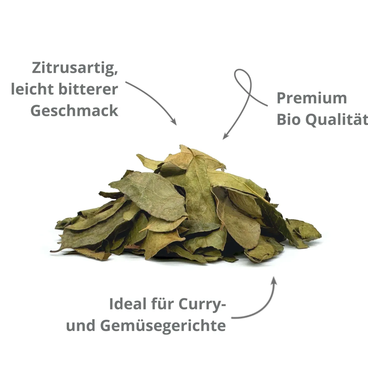 Curryblätter BIO