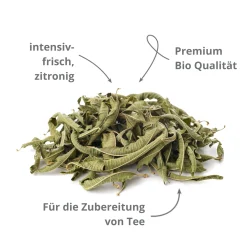 Französisches Eisenkraut "Zitronenverbene" in BIO