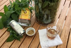 Koriander-Saat-Schnaps - Nr. 13, unsere Hausmarke