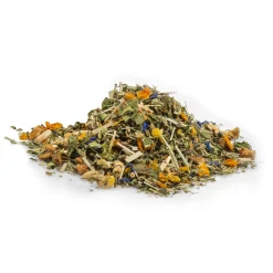 Mango Liebe - Kräutertee mit Moringa & Matcha BIO
