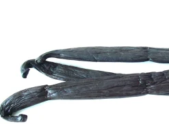 Tahiti Vanille, Premium Tahitensis, 1 Schote 16-18cm